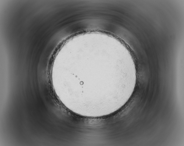 X0000088470832200705220939
