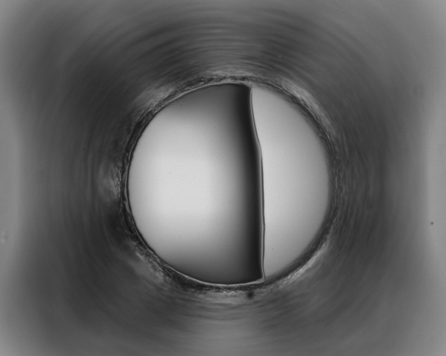 X0000088470833200705220939