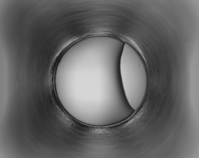 X0000088470835200705220939