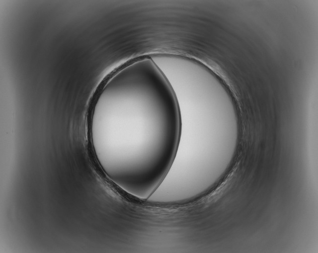 X0000088470838200705220939