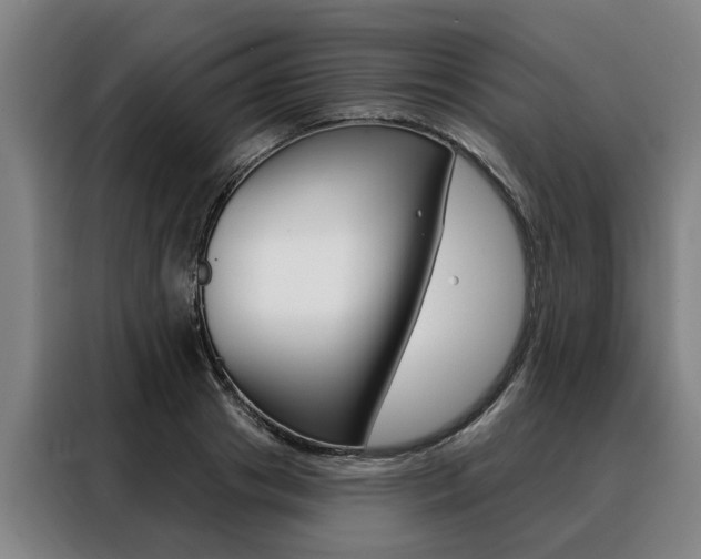 X0000088470841200705220939