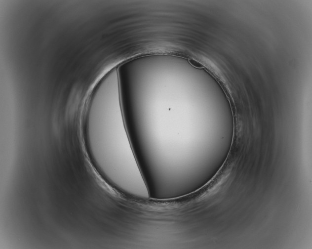 X0000088470843200705220939