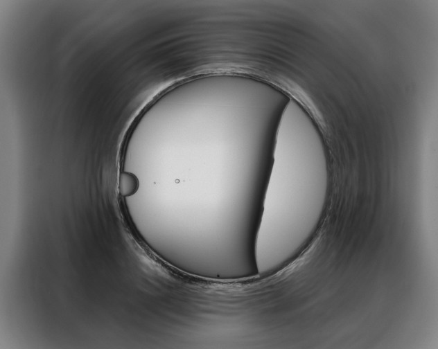 X0000088470844200705220939