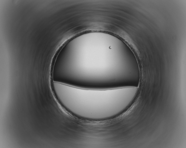X0000088470845200705220939