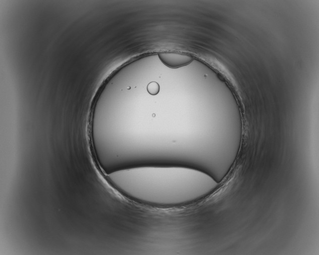 X0000088470847200705220939