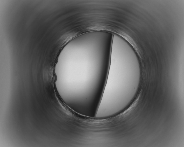 X0000088470849200705220939