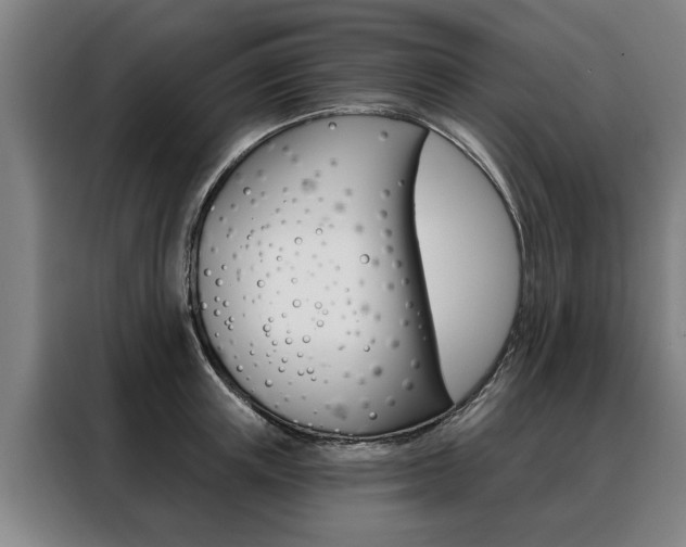 X0000088470851200705220939