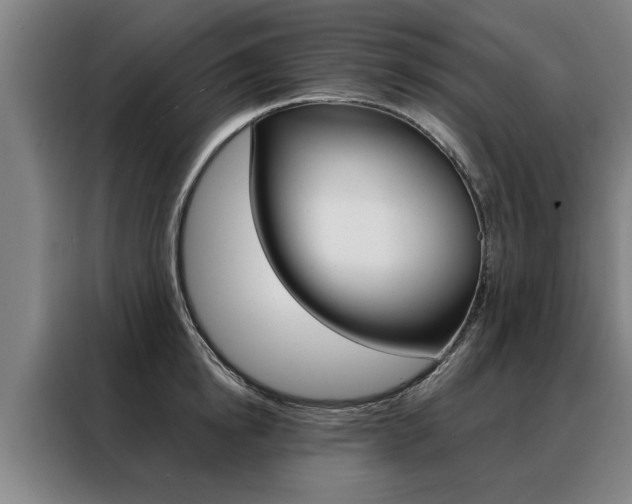 X0000088470854200705220939
