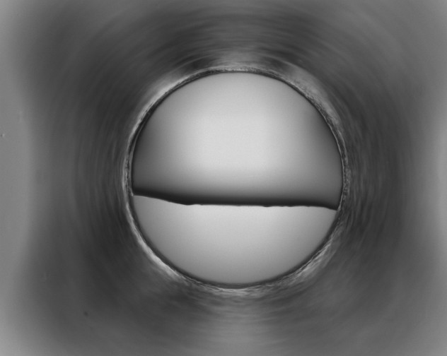 X0000088470855200705220939