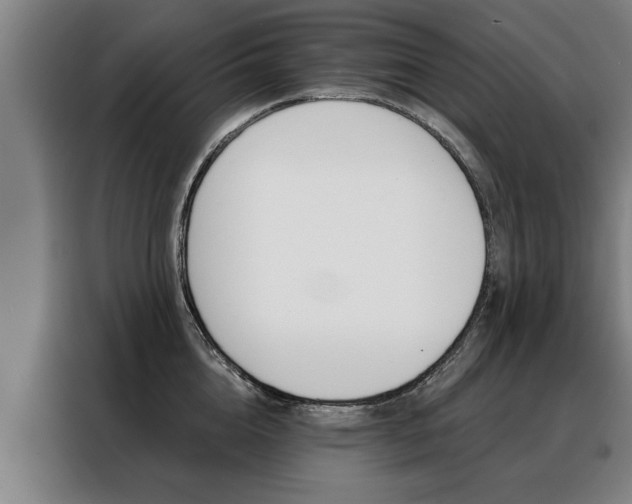 X0000088470856200705220939