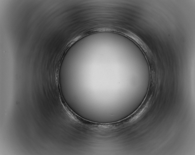 X0000088470857200705220939