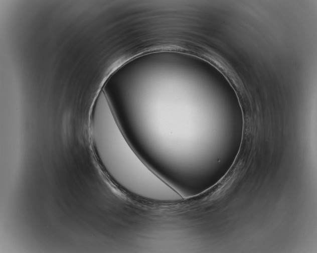 X0000088470858200705220939