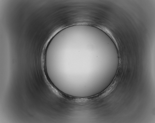 X0000088470859200705220939