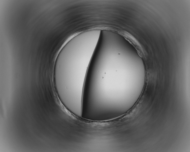 X0000088470860200705220939