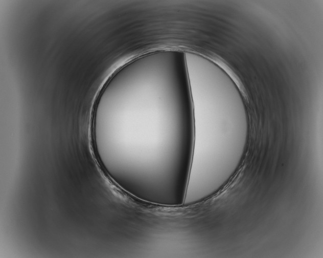 X0000088470861200705220939