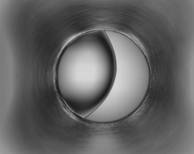 X0000088470862200705220939