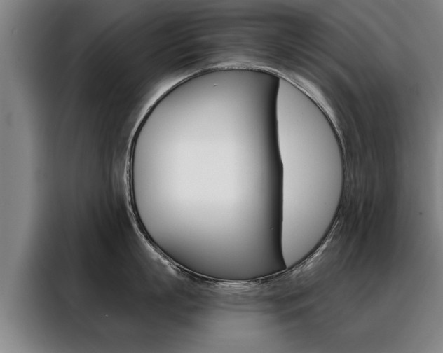 X0000088470863200705220939