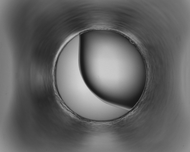 X0000088470864200705220939