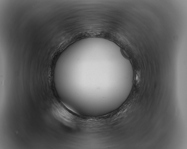 X0000088470867200705220938