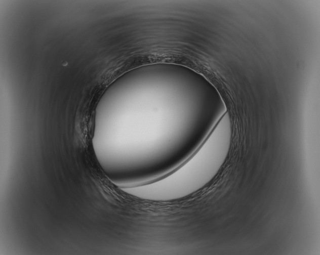 X0000088470868200705220938