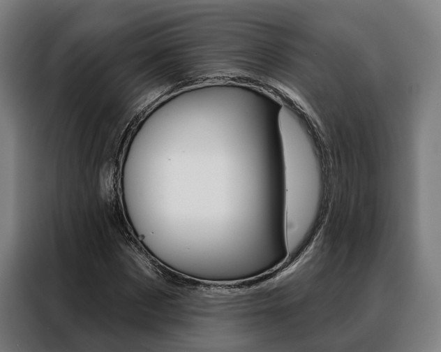 X0000088470873200705220938