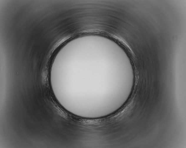 X0000088470874200705220938