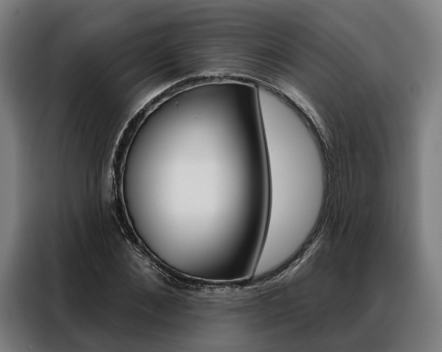 X0000088470876200705220938
