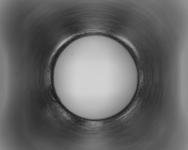 X0000088470878200705220938