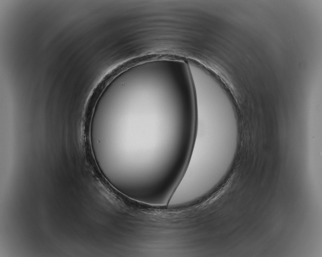 X0000088470880200705220938