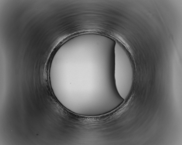X0000088470883200705220938