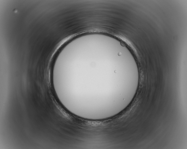 X0000088470886200705220938