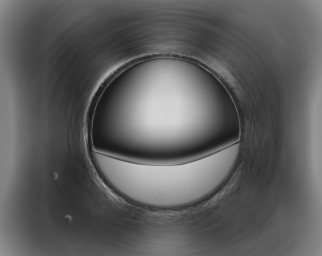 X0000088470888200705220938