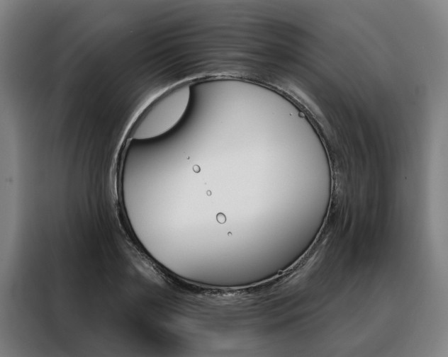 X0000088470891200705220938