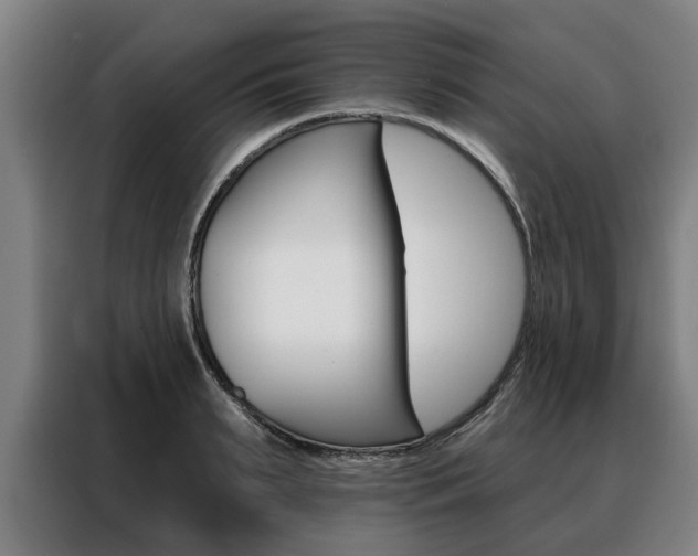 X0000088470895200705220938