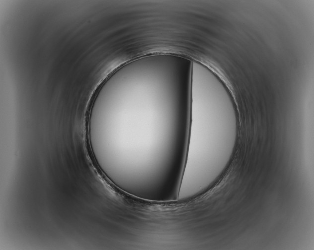 X0000088470898200705220938