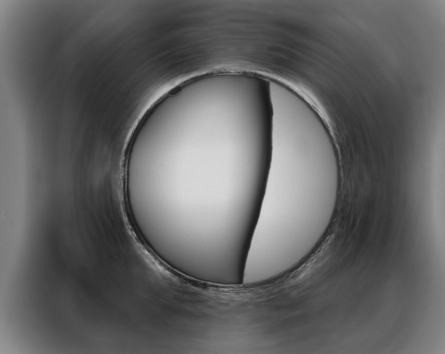 X0000088470903200705220938
