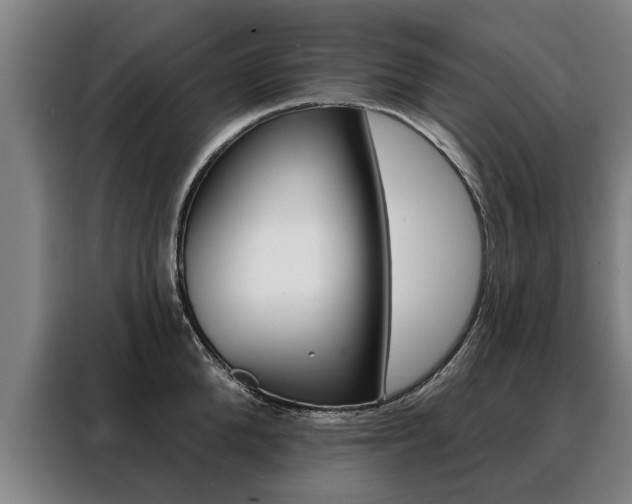 X0000088470904200705220938