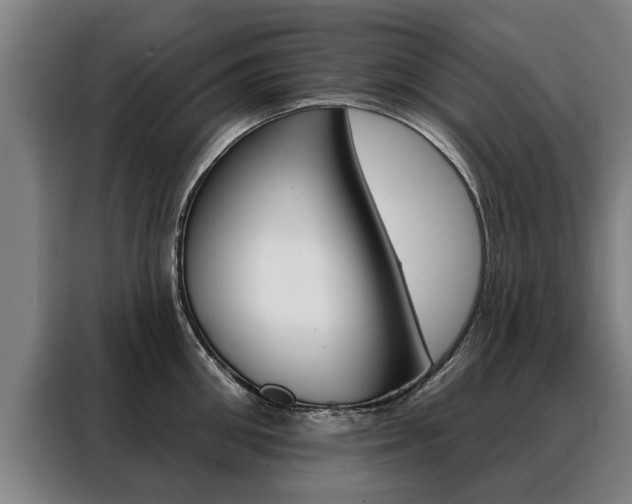 X0000088470906200705220938