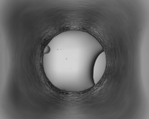 X0000088470913200705220937
