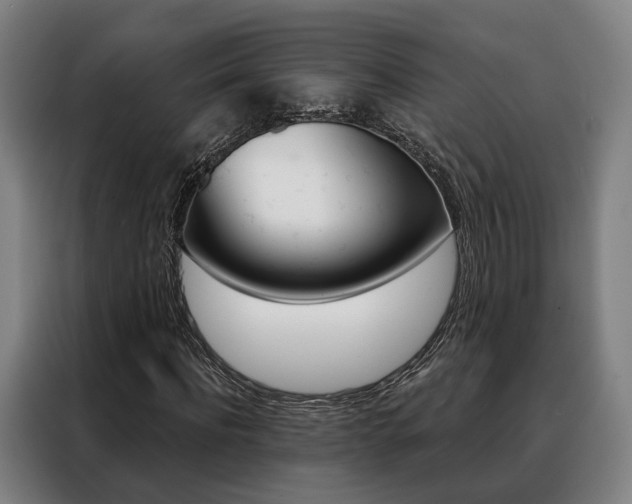 X0000088470916200705220937