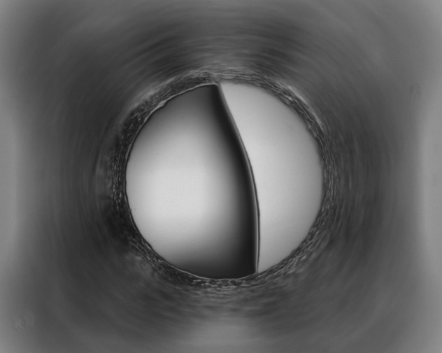 X0000088470919200705220937