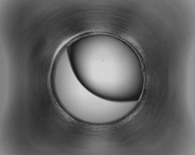 X0000088470928200705220937
