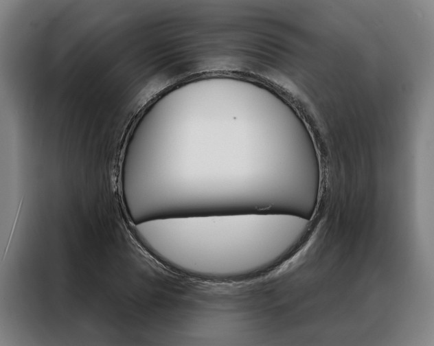 X0000088470929200705220937