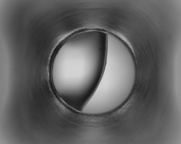 X0000088470935200705220937