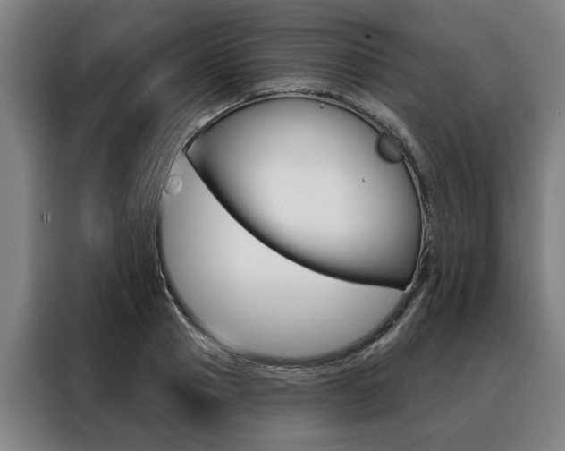 X0000088470937200705220937