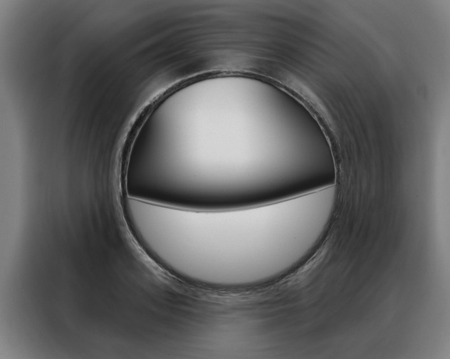 X0000088470939200705220937