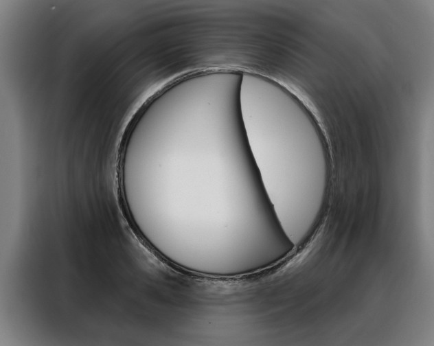 X0000088470941200705220937