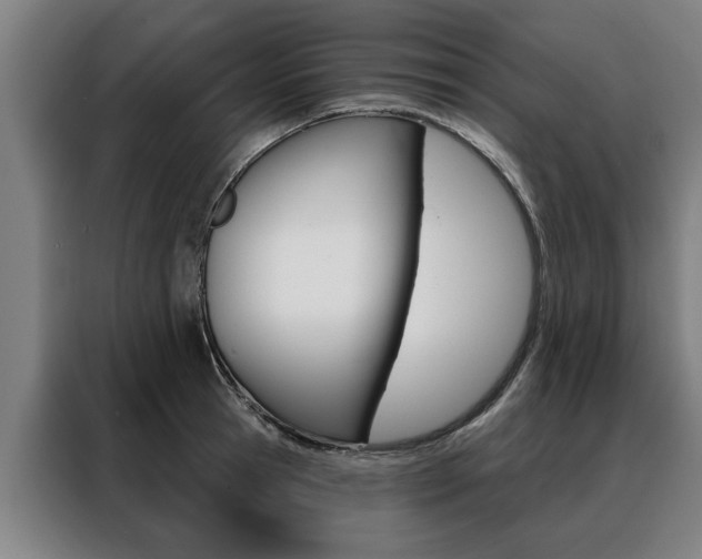 X0000088470945200705220938