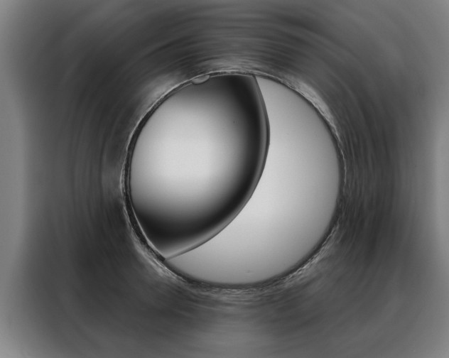 X0000088470946200705220938