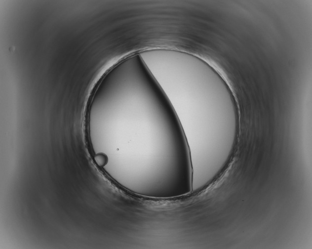 X0000088470949200705220938